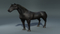 Realistic-Horse5