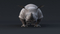 Realistic-Rhino5