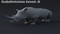 Realistic-Rhino7