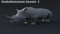 Realistic-Rhino8