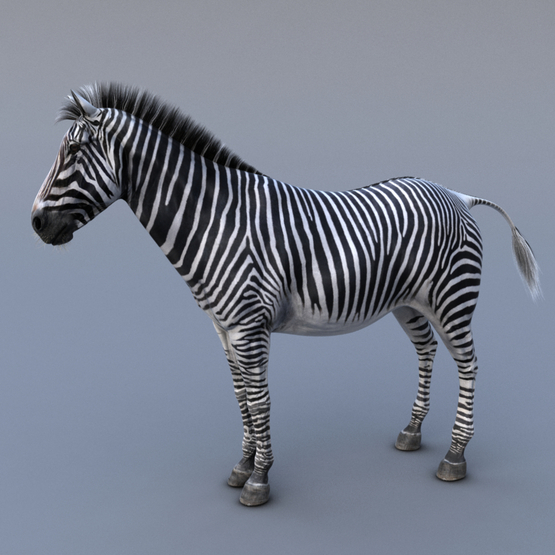 Realistic-Zebra-V31