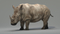 Rhino-Animated-3D10