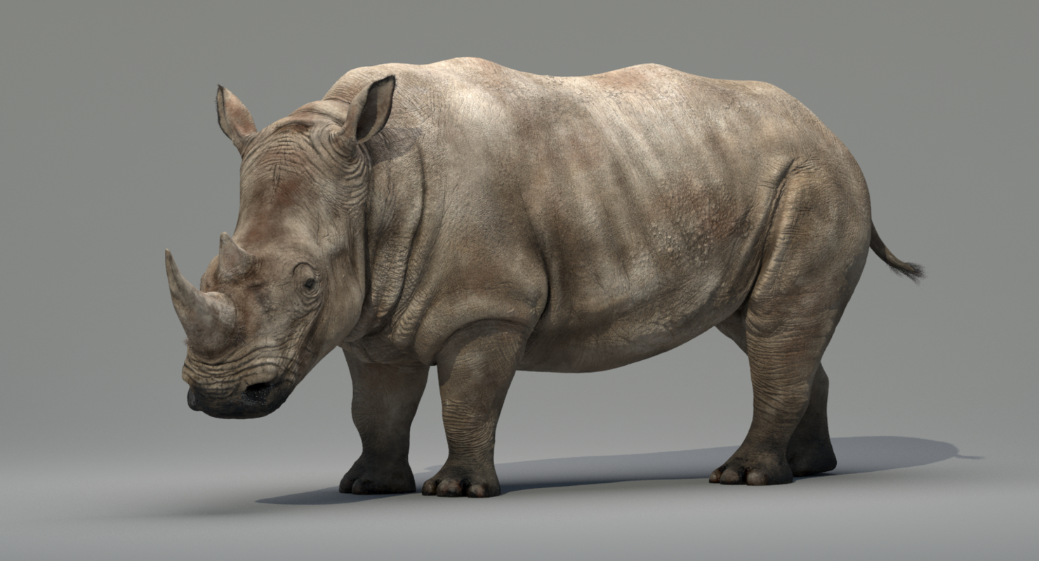 how to set render dpi in vray for rhino