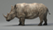 Rhino-Animated-3D11