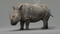 Rhino-Animated-3D14