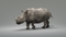 Rhino-Animated-3D2