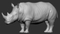 Rhino-Animated-3D21