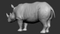Rhino-Animated-3D23