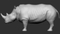 Rhino-Animated-3D24