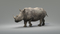 Rhino-Animated-3D3