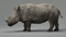 Rhino-Animated-3D4