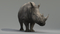 Rhino-Animated-3D5