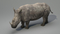 Rhino-Animated-3D6
