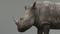 Rhino-Animated-3D7
