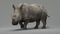 Rhino-Animated-3D8