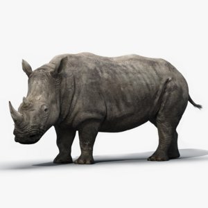 Rhino-Rigged1