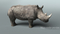 Rhino-Rigged22