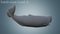 Sperm-Whale-Rigged16