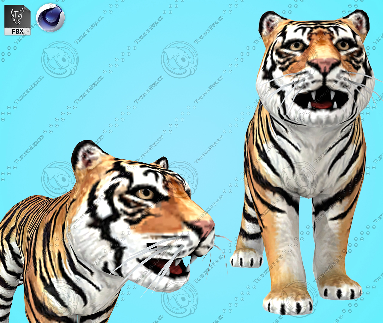 Tiger Cartoon 3D model — Missset