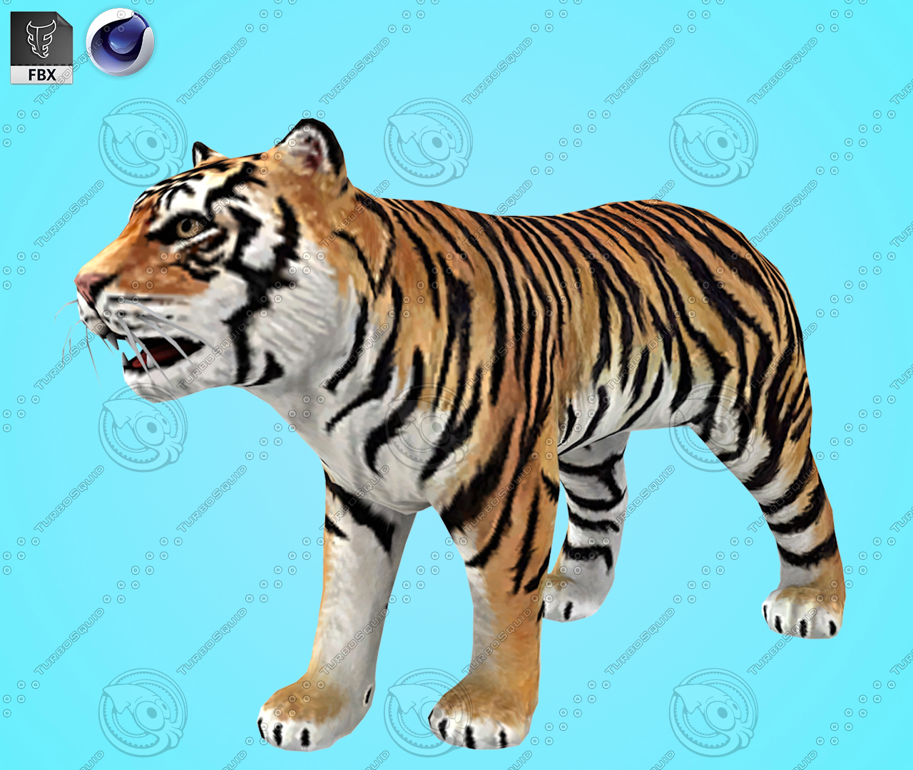 Tiger Cartoon 3D model — Missset