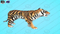 Tiger-Cartoon-3D-model3