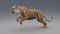 Tiger-Rigged-Fur20