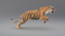 Tiger-Rigged-Fur3