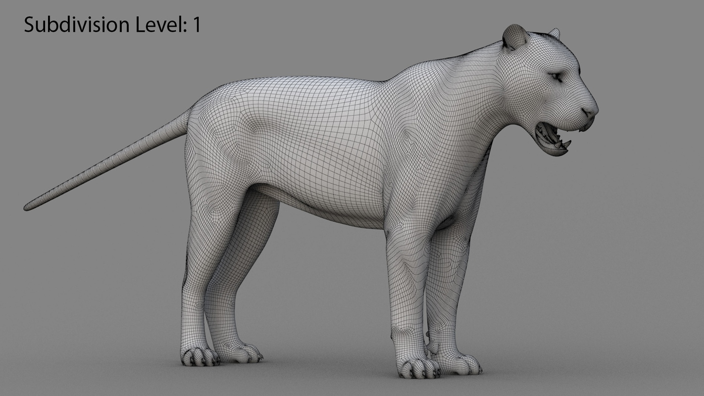 Tiger Rigged Maya 3D model — Missset