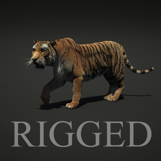 Tiger-rigged-Fur1