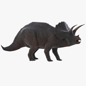 Triceratops-Rigged1
