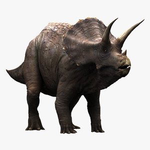 Triceratops1