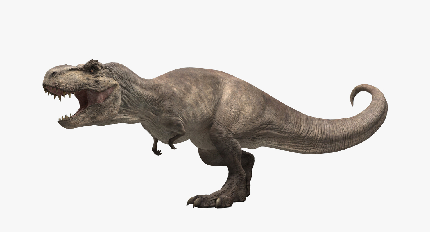 Tyrannosaurus Rex Animated 3D model — Missset