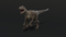 Velociraptor-Animated2