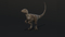 Velociraptor-Animated3