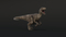 Velociraptor-Animated5