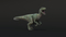 Velociraptor-Animated6