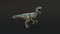 Velociraptor-Animated7