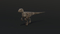 Velociraptor-Animated8