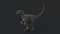 Velociraptor-Rigged10