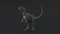 Velociraptor-Rigged13