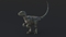 Velociraptor-Rigged18