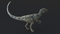Velociraptor-Rigged19