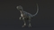 Velociraptor-Rigged21