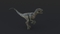 Velociraptor-Rigged24