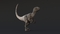 Velociraptor-Rigged4