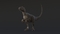 Velociraptor-Rigged5