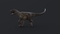 Velociraptor-Rigged7