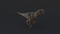 Velociraptor-Rigged8