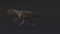 Velociraptor-Rigged9