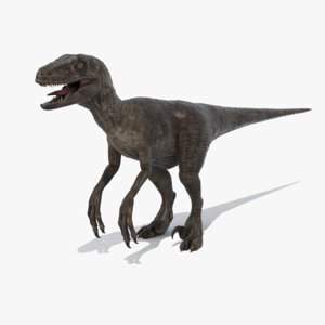 Velociraptor1